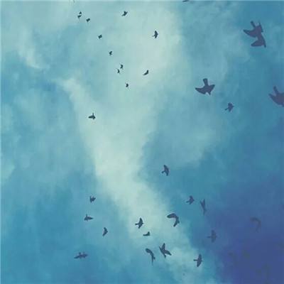 芒果体育下载手机版