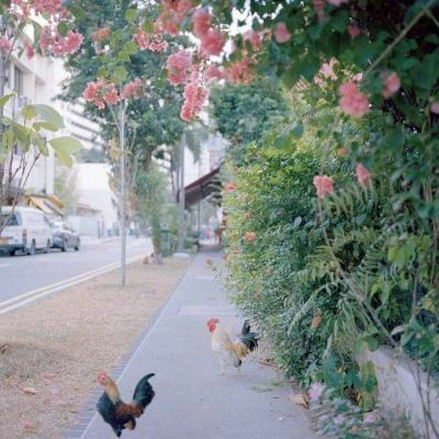 im电竞·(中国)官方网站