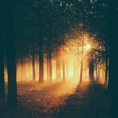 华体会登录(官方)APP下载下载手机版