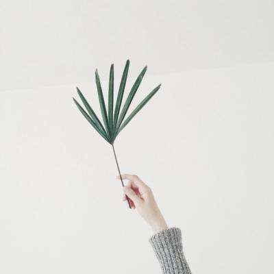 大众彩票用户登录注册