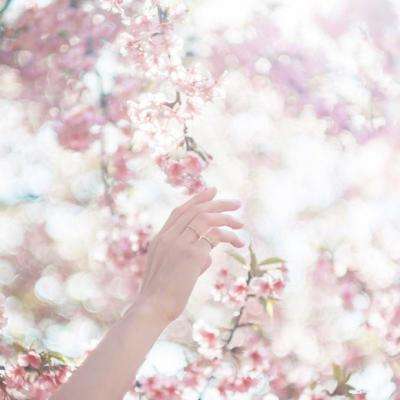 ag亚游APP登陆手机app下载